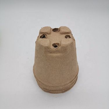 product-1-1 3(001)